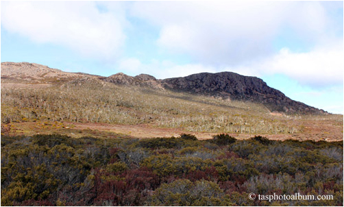 Western Creek Track of the Central Plateau of Tasmania